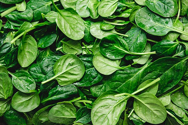 Alimentation